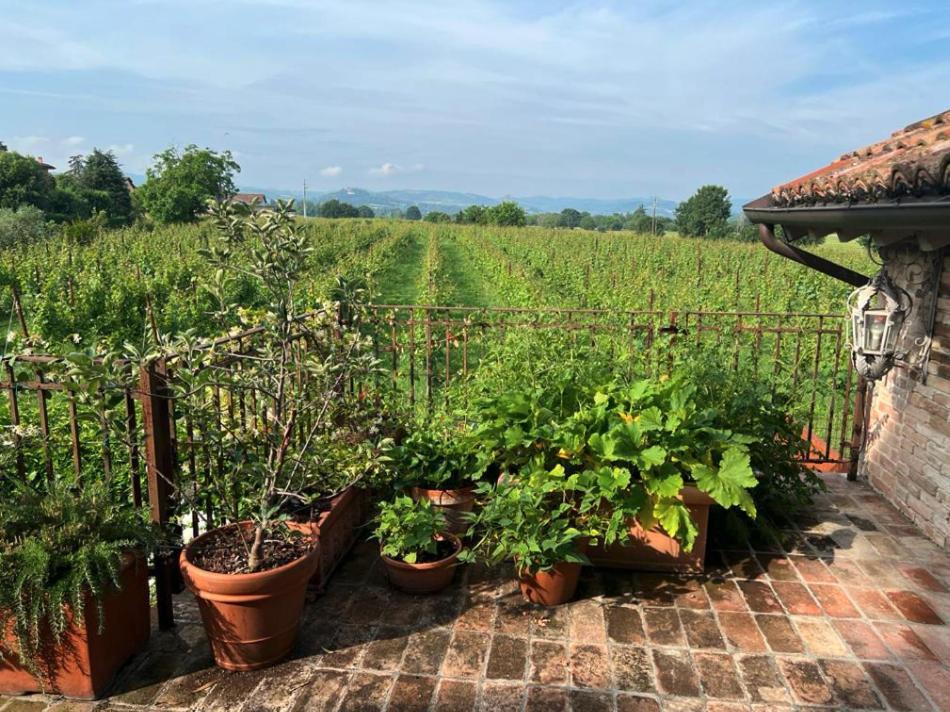 Casale Hortensia Реджо-нель-Емілія Екстер'єр фото